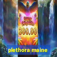 plethora maine